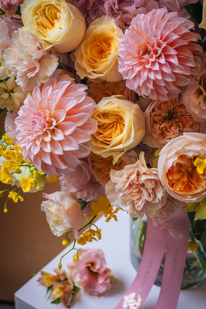 ❀ Gentle Solace