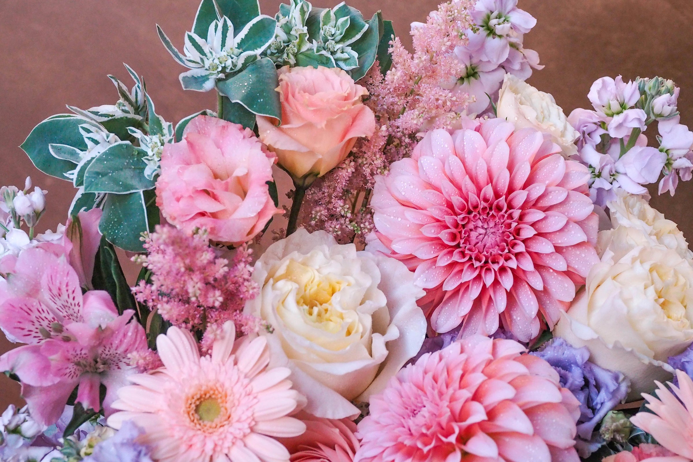 Blooms